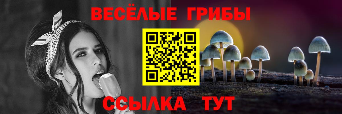 Галлюциногенные грибы GOLDEN TEACHER  Вход с VPN  Выборг 